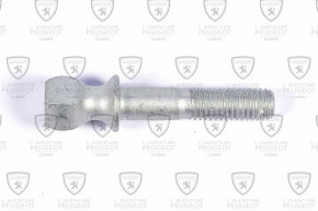 Cardan screw