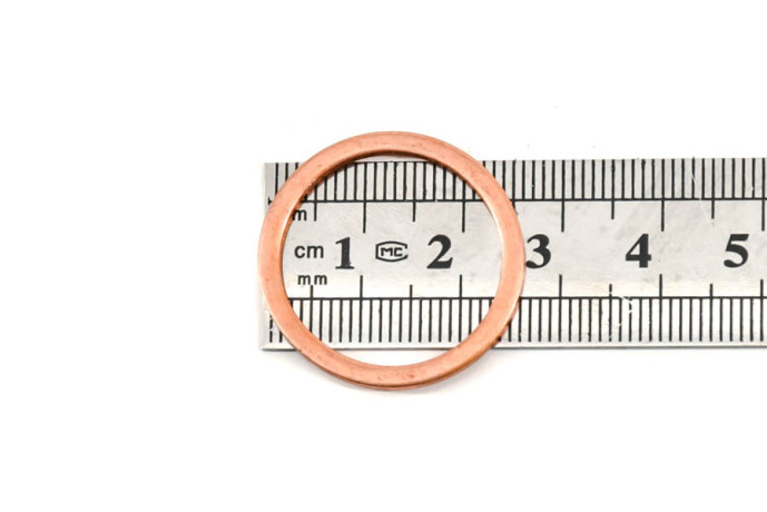 Cylinder crankcase plug gasket