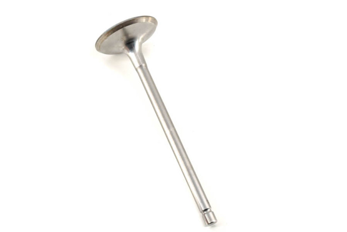 Es9j4s intake injection valve