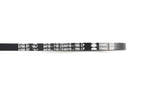 Courroie alternateur