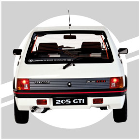1/8 205 gti 1.9 white to build up