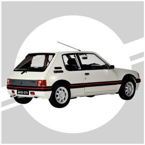 1/8 205 gti 1.9 white to build up