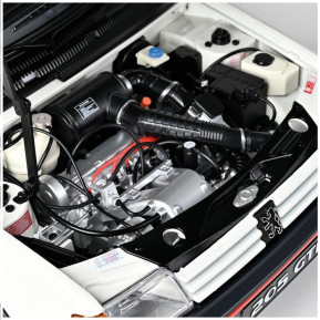 1/8 205 gti 1.9 white to build up