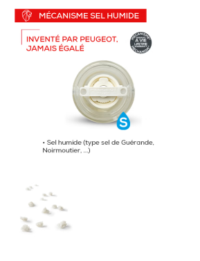 Oleron wet salt chocolate 14 cm zirlion