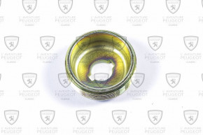 Rear suspension bar plug