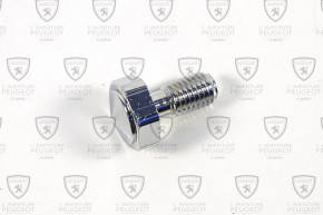 Cover screw 12*25 6 sided 23