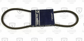 Rear toothed belt 575063