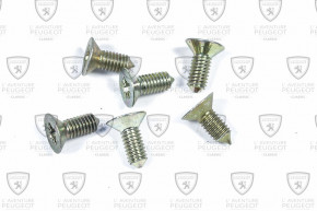 Disc fixing screw