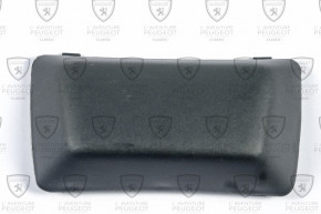 Black plastic lock cover