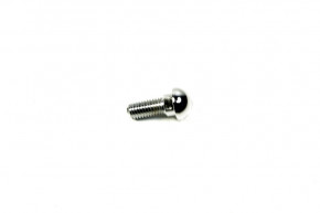 Bumper chrome screws