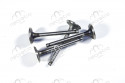 Set of 4 intake valves