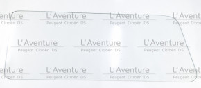 Vitre de custode