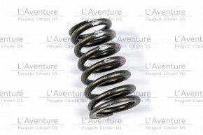 Valve spring