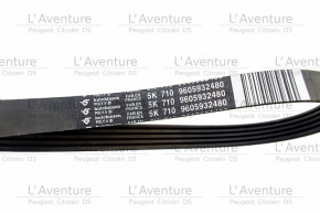 Belt