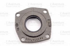 Crankcase cap reference 300934