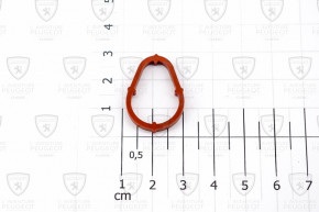 O-ring