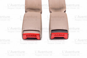 Rear seat belt assembly