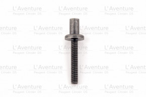 Tensioner adjustment screw