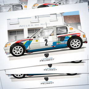 205 t16 evo1 gpe b deep view (map)