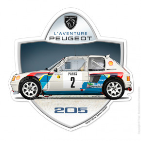 205 t16 evo 1 vue profile (ac)