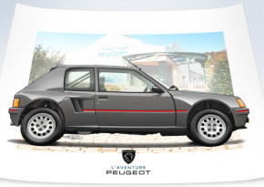 205 t16 sÉrie 200 grise vue prof (post)