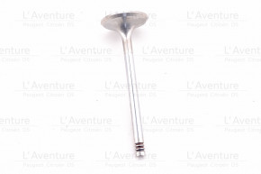 Intake valve