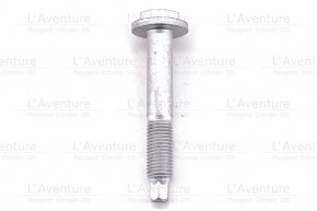 Front knuckle pivot screw...