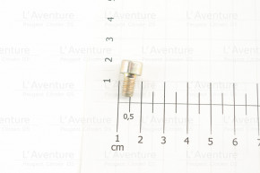 Vis chc standard 6x100-10