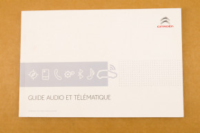 Audio and telematics guide