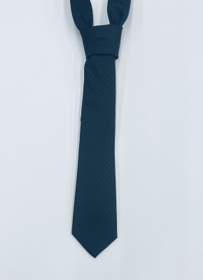 Ds black silk tie