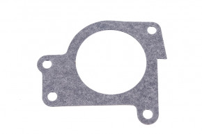 Gasket, intake manifold