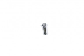 Gearbox fork locking screw