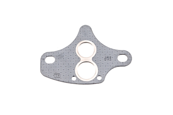 Gas recycling valve gasket