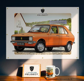 104 berline orange 1972 (poster)