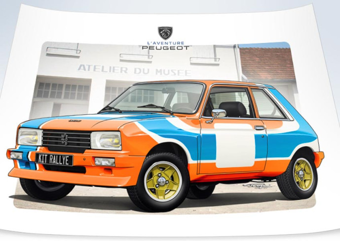 104 zs rally kit peugeot...