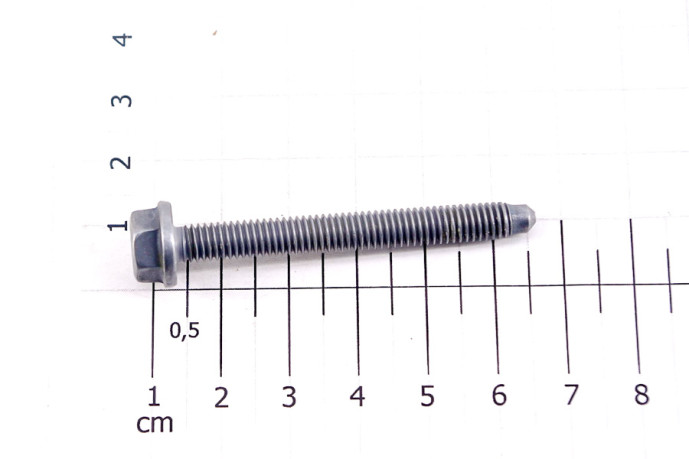 Flange screws