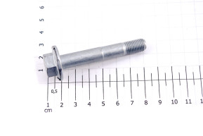 Axle screw for motorpropeller fixing