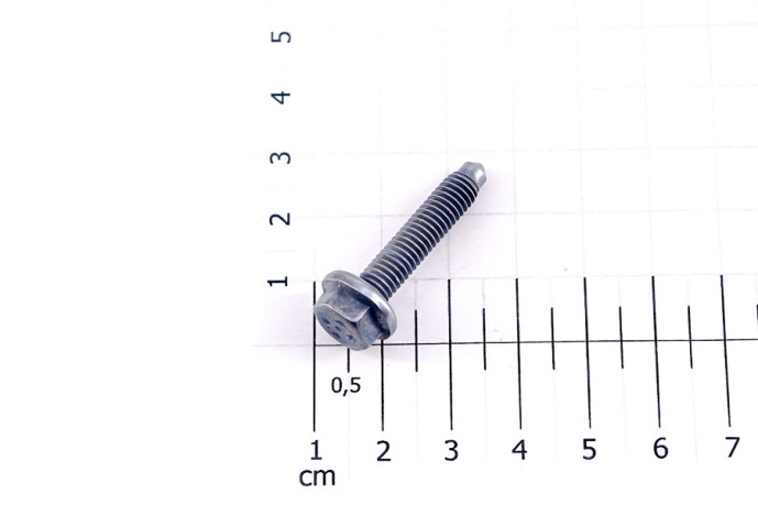 Flange screw