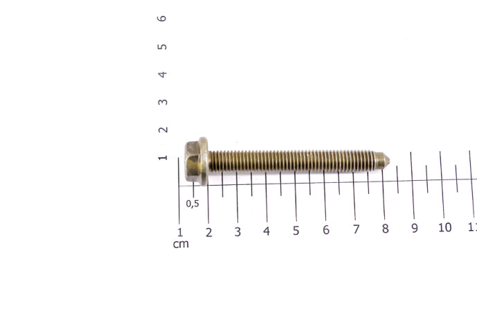 Screw with base