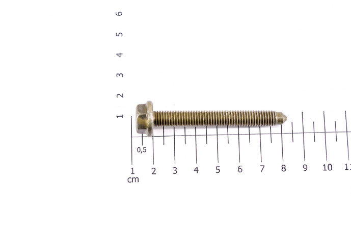 Screw with base