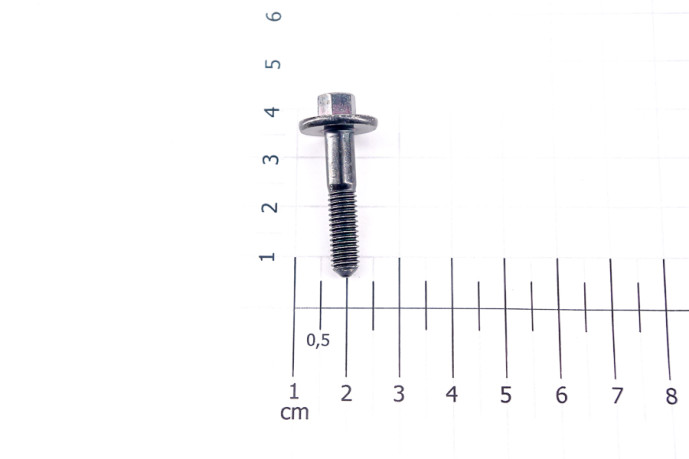 Flange screws