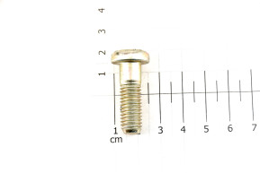 Front knuckle pivot ball joint screw