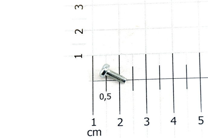 Module valve fixing screw