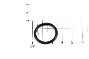 O-ring