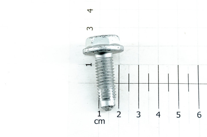 Flange screw 10x150-30
