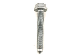 Flange screw diameter 12x175-80
