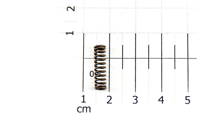 Bvm synchronizer spring