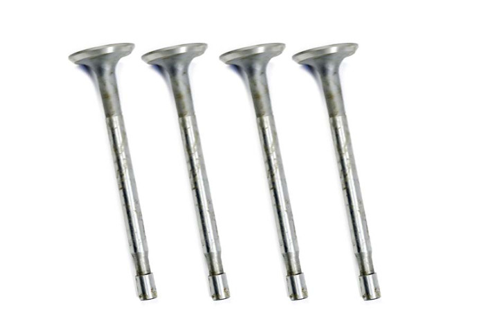 Set of 4 diesel intake valves