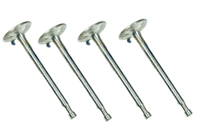 Set of 4 intake valves