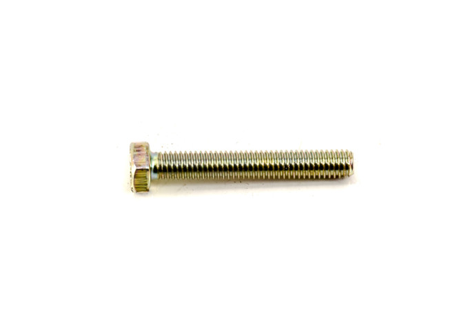 Slide screw diameter 6x100-40